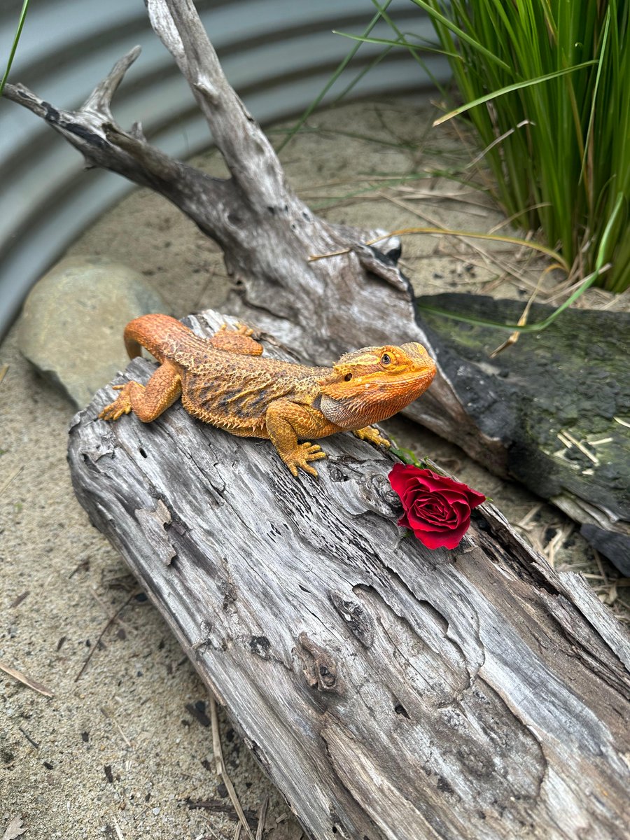 #SinglesAwarenessDay is just as important at @CWSlive