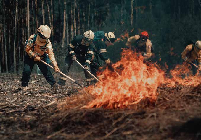 Global Fire Management Innovation Unleashed: Forest Camp in Poland Draws 130 Participants from 22 Countries for Hands-On Training and Collaboration, Igniting Passion for Wildfire Solutions. iawfonline.org/article/collab…