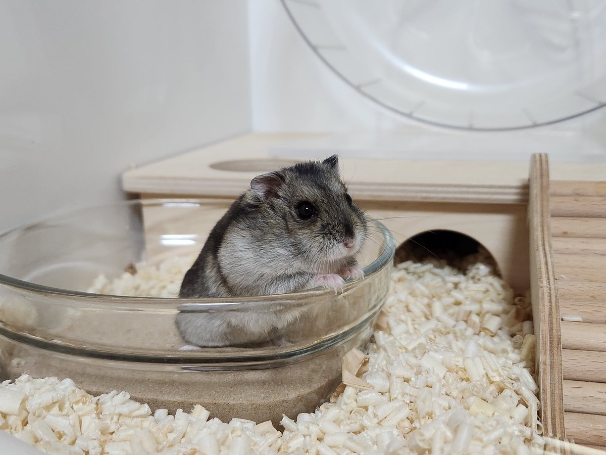 콩순이 사진 너무 귀여워서 간만에 올려욥