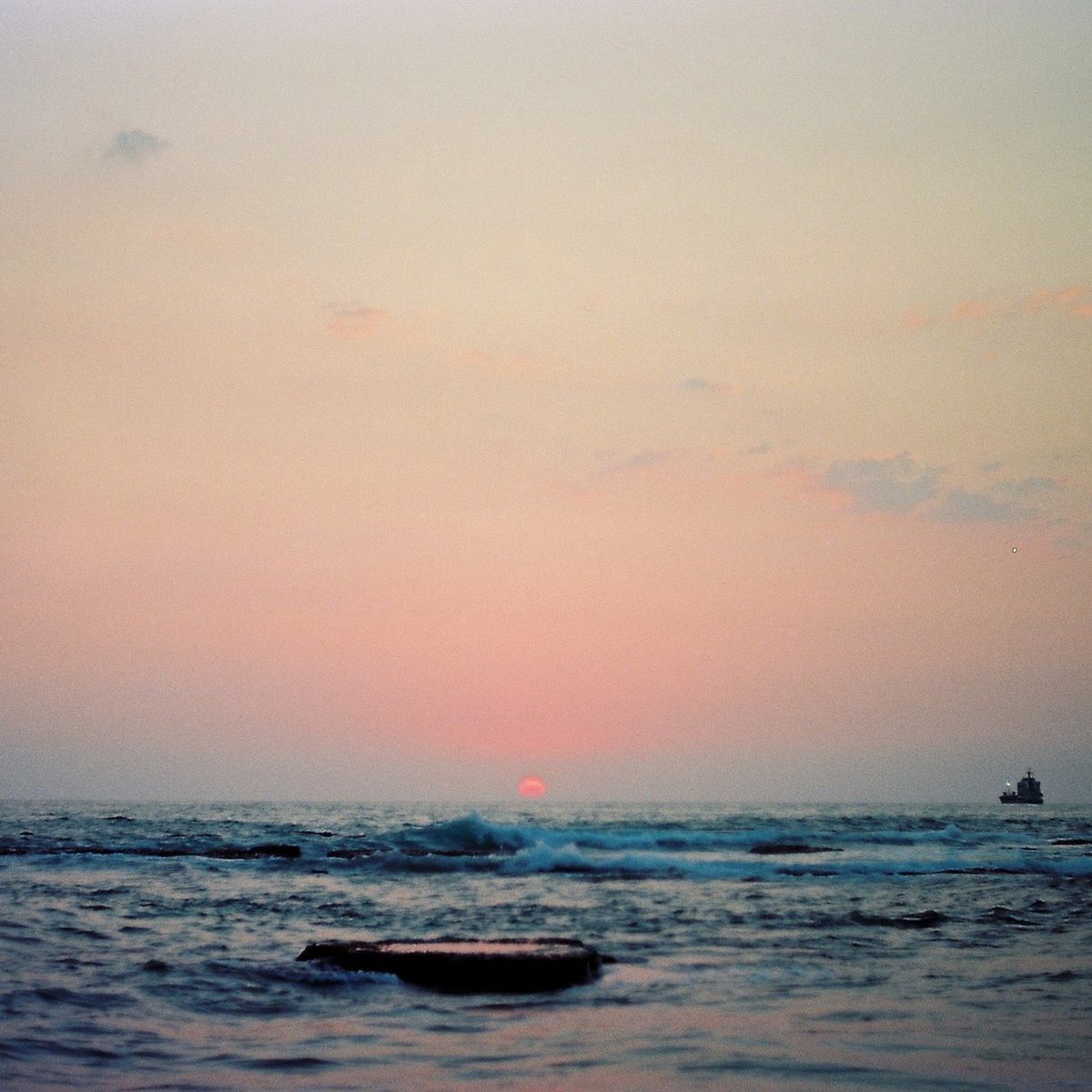 4000 Records tweet media