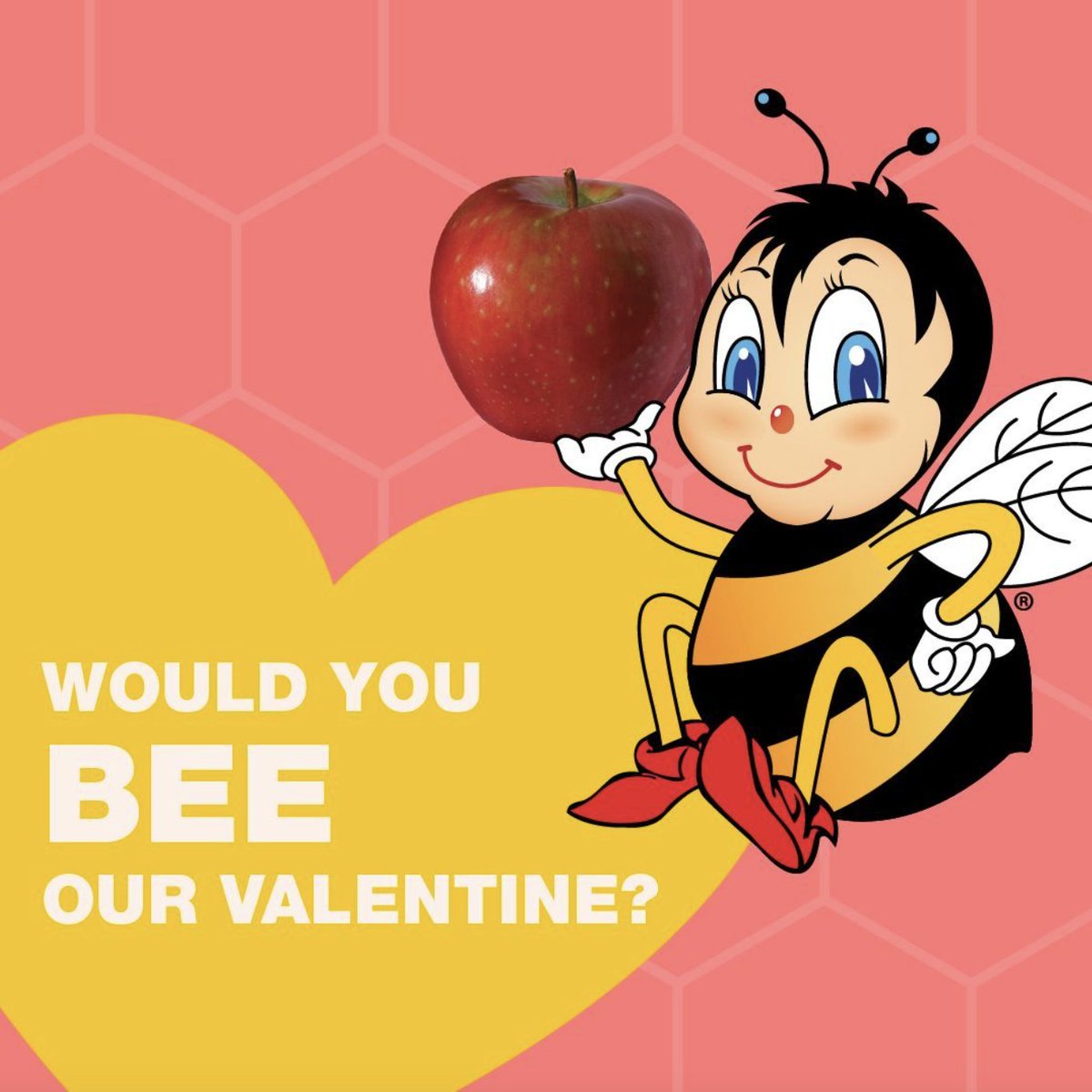 SugarBeeApple's tweet photo. Happy Valentine's Day from SugarBee®! 😊 ❤️ #HappyValentinesDay #FromBeeToYou https://t.co/MrTbemZrxe