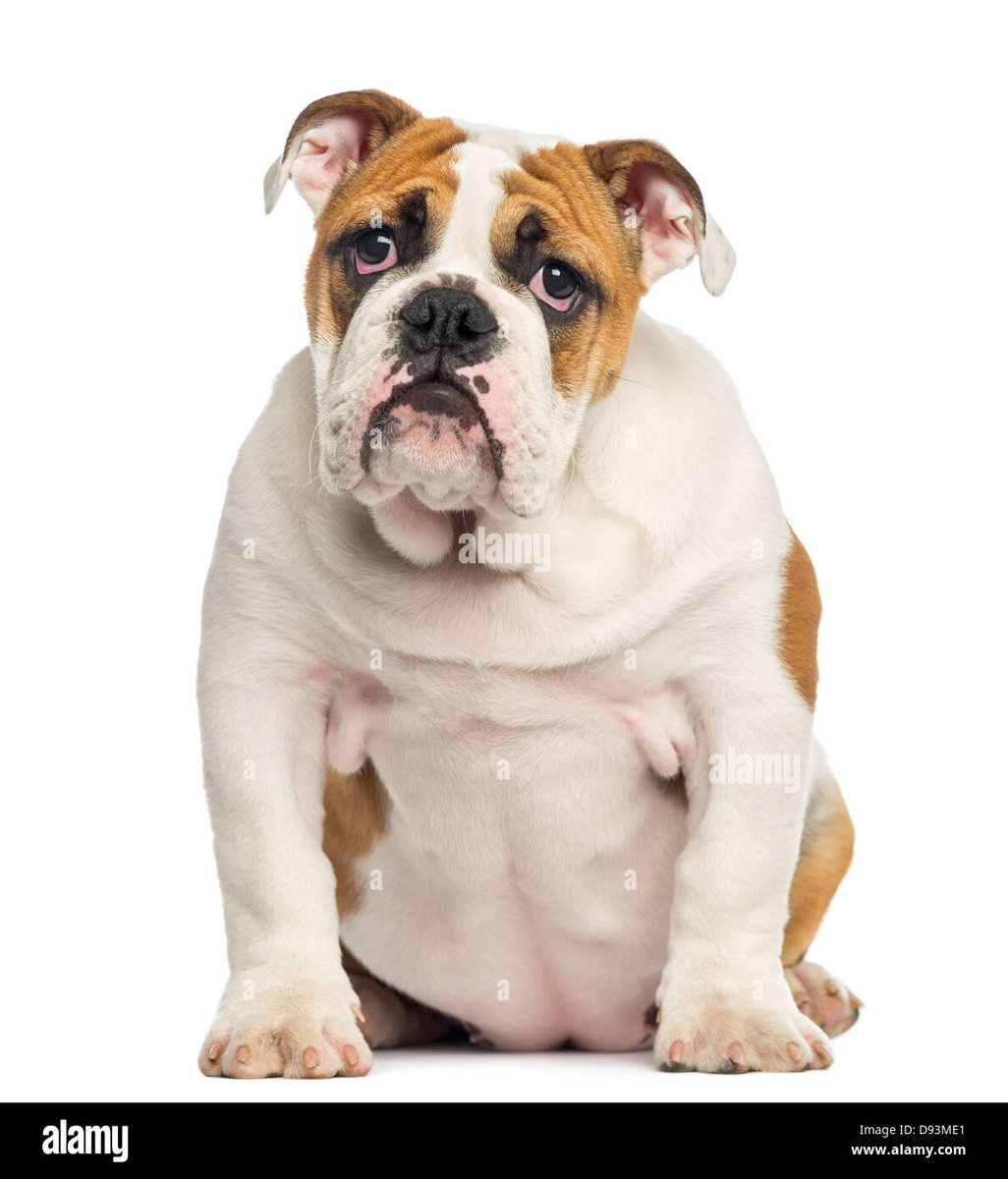 CuculusT's tweet image. Mariona
#lidlt #LaIslaDeLasTentaciones7 #LaIslaDeLasTentaciones8