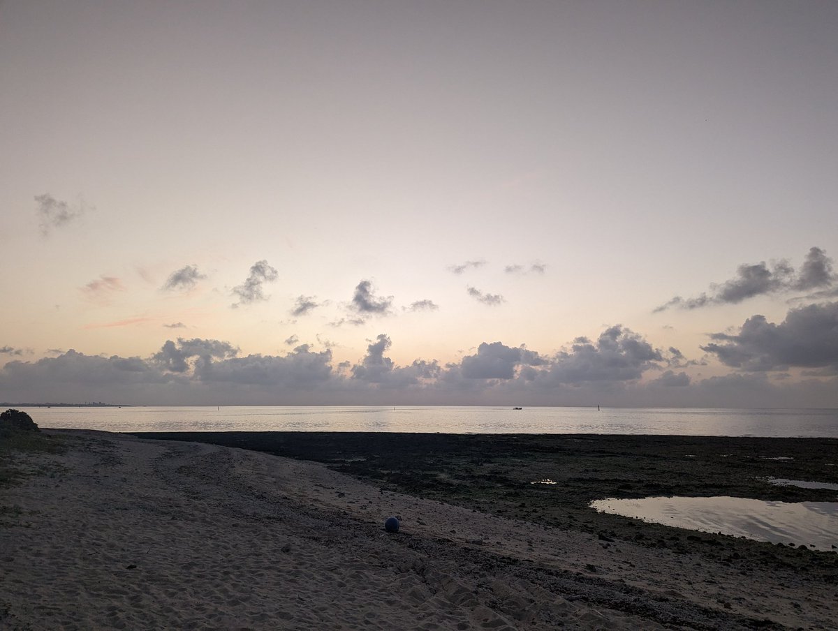 hitodeblog's tweet photo. せっかくだし早起きして散歩がてら海辺で朝日でも見るかー

ってテクテク歩いていったら普通にめっちゃ曇りでした

#おは竹富島 https://t.co/3x1VPIobN2