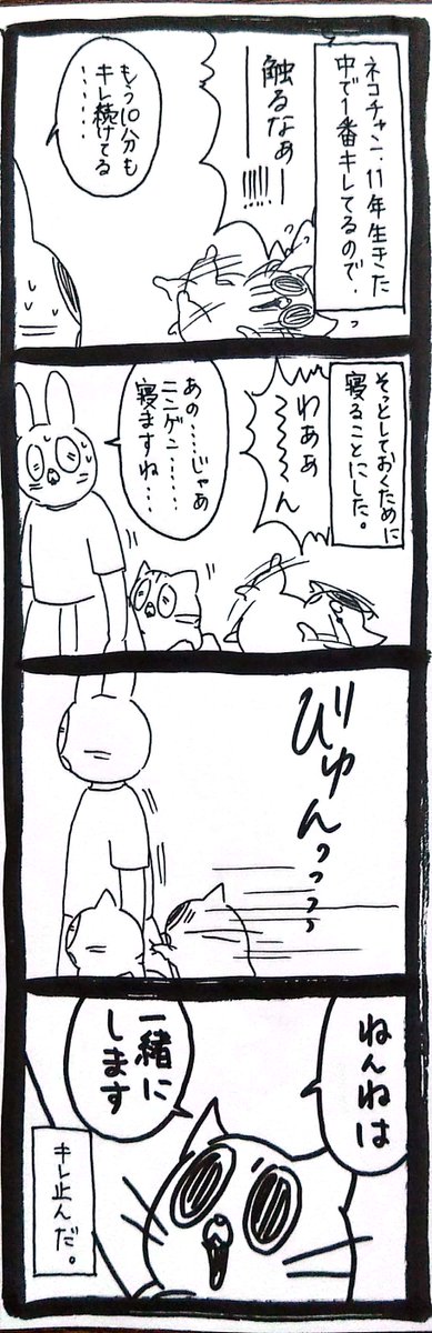 【猫】そこだけは譲れない