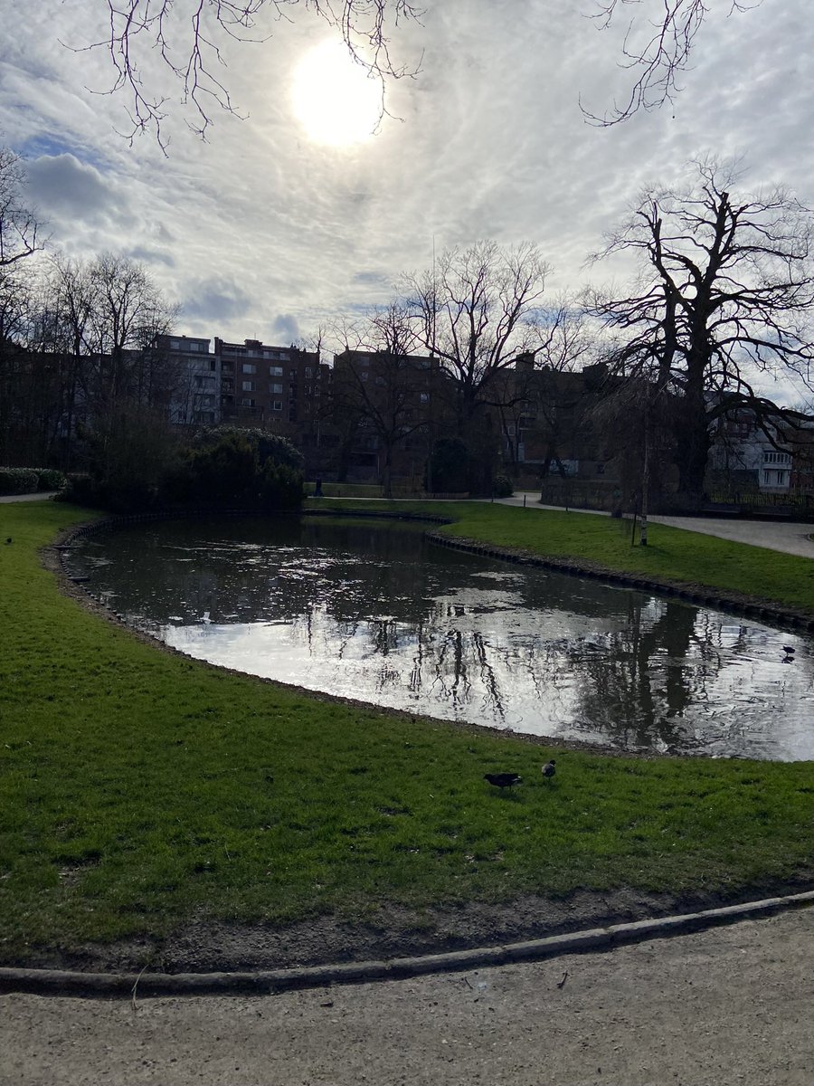 Park in Mechelen 
Rond15:40
#vrtweer