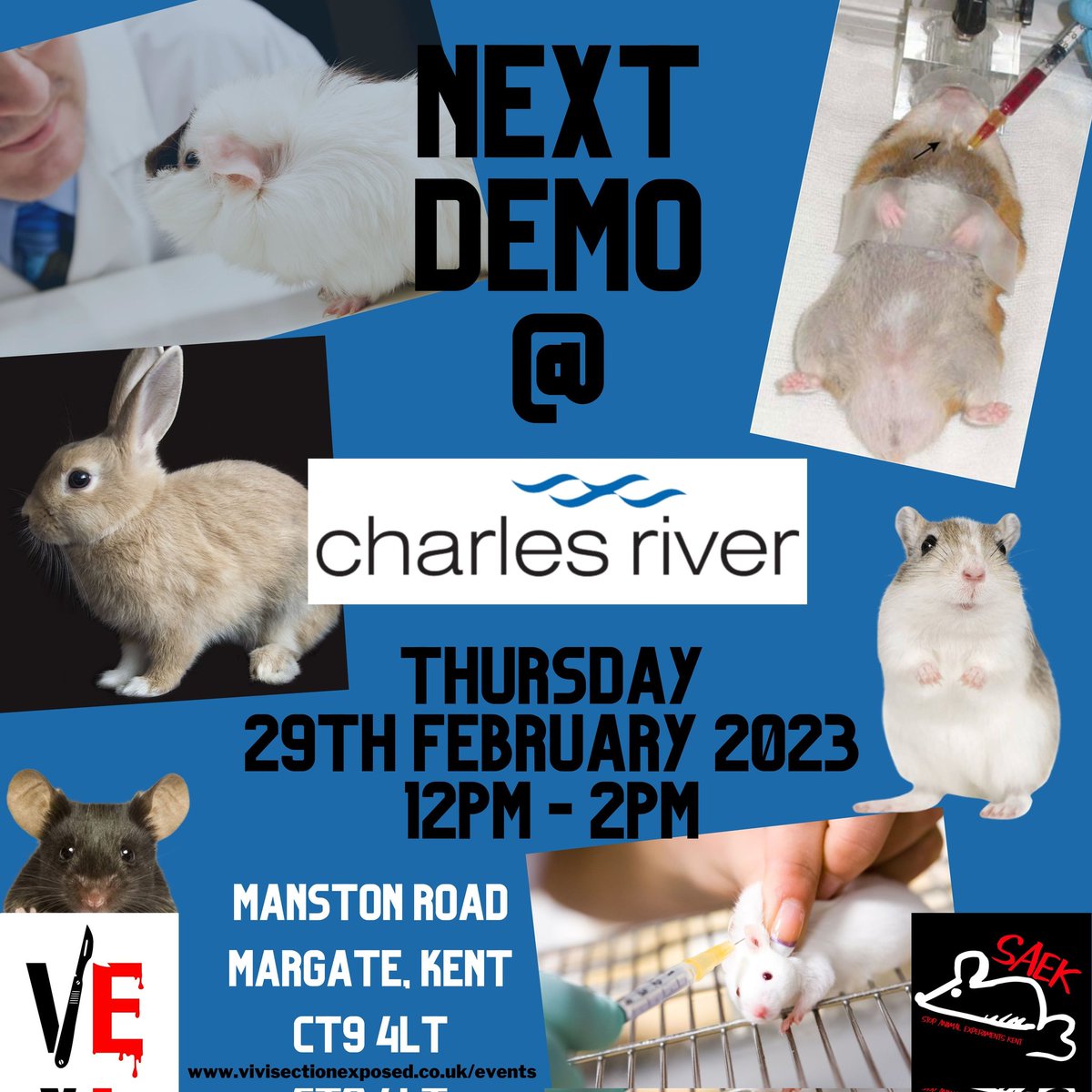 Please come and stand with us for the animals imprisoned in laboratories #EndVivisectionNow