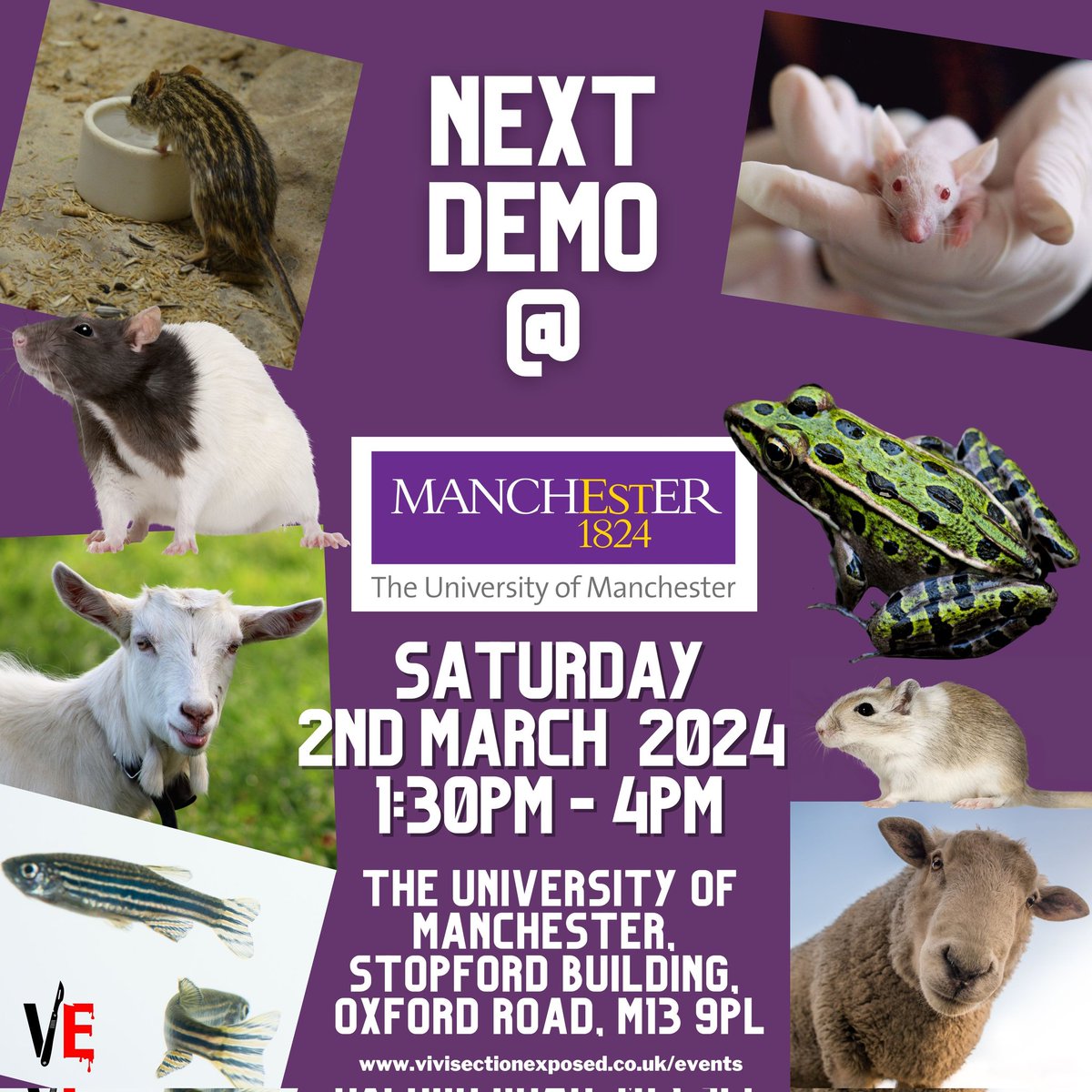 Please come and stand with us for the animals imprisoned in laboratories #EndVivisectionNow