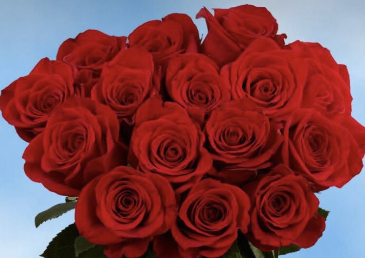 Every Year Valentine’s Day remienda us Of what is Truly important in life, a Happy Day to all. 🌹🌹🌹🌻🌻.

#ValentinesDay #FlowerPower, #Valentines2024 #ValentinesDayFlowers, #Rosesfloreselmoralfarm #FlowersofColombia 🇨🇴🇨🇴#ColombiaDiversityThatInspiries, #valentinesday2024