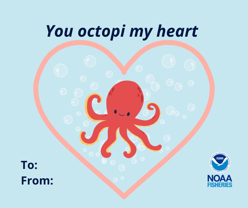 NOAAFisheries's tweet photo. Happy Valentine's Day!

Show your friends you care (about marine life) with these punny Valentine’s Day cards: https://t.co/URD8Fe4ddu

Love, NOAA Fisheries https://t.co/P7wnYVWQeq