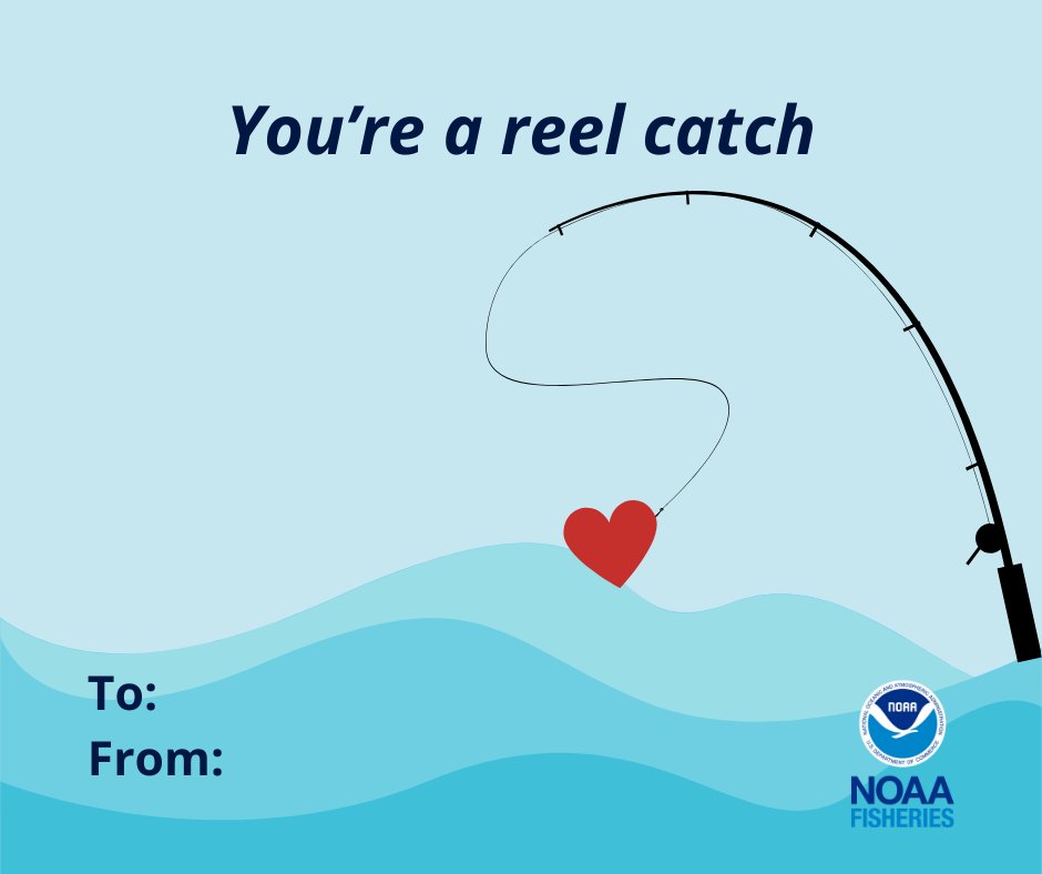 NOAAFisheries's tweet photo. Happy Valentine's Day!

Show your friends you care (about marine life) with these punny Valentine’s Day cards: https://t.co/URD8Fe4ddu

Love, NOAA Fisheries https://t.co/P7wnYVWQeq