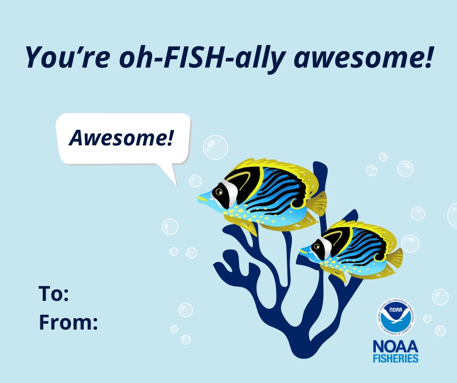 NOAAFisheries's tweet photo. Happy Valentine's Day!

Show your friends you care (about marine life) with these punny Valentine’s Day cards: https://t.co/URD8Fe4ddu

Love, NOAA Fisheries https://t.co/P7wnYVWQeq