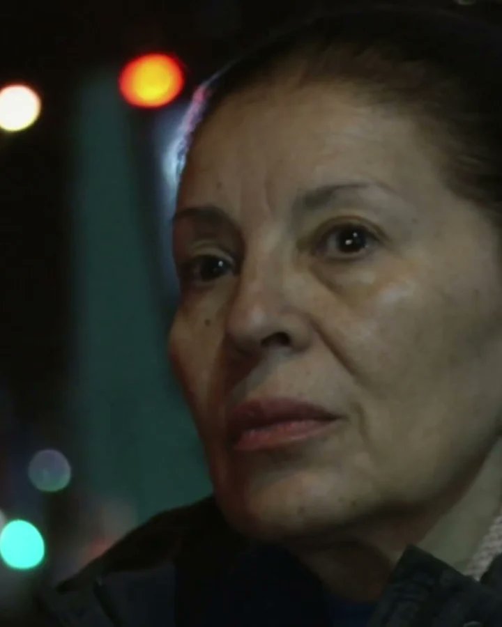 Haydee, una luchadora por las víctimas deviolaciones a los derechos humanos, enfrentasu batalla más íntima: el fin de un largo juicioque condene a sus torturadores, los asesinosdel hijo que llevaba en su vientre.

👉 Mírala a través de #DocsEnLínea bit.ly/4bERRKw