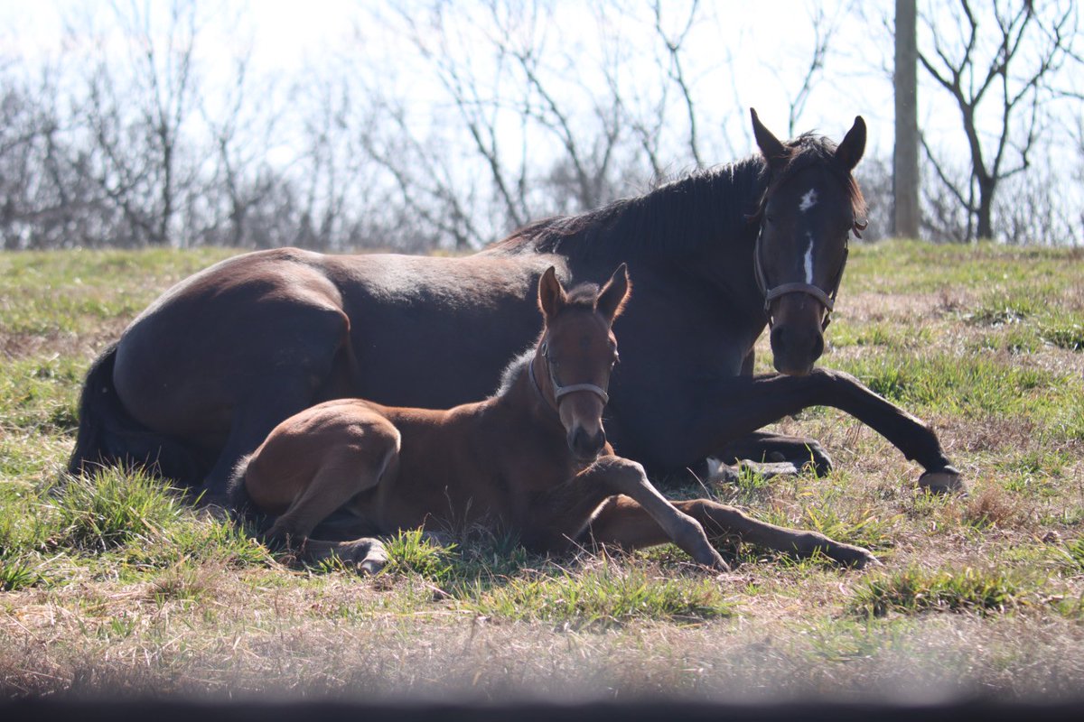 Like mother like daughter! A little Candy for Valentines Day. @LanesEndFarms