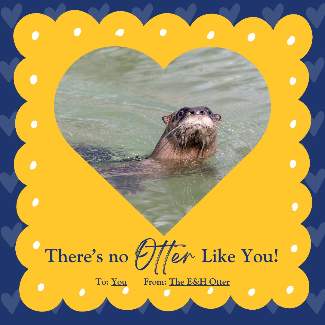 emoryhenry1836's tweet photo. Thereโs no Otter quite like our students! Emory & Henry had a cute visitor today at the Duck Pond, and it wanted us to relay these special Valentine's Day messages just for you๐ฆฆ๐๐ #EHlove #emoryandhenry
Did you see the special guest today? https://t.co/n30zs9klTt