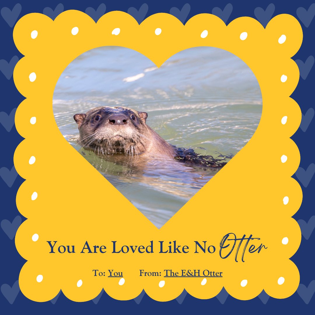 emoryhenry1836's tweet photo. Thereโs no Otter quite like our students! Emory & Henry had a cute visitor today at the Duck Pond, and it wanted us to relay these special Valentine's Day messages just for you๐ฆฆ๐๐ #EHlove #emoryandhenry
Did you see the special guest today? https://t.co/n30zs9klTt