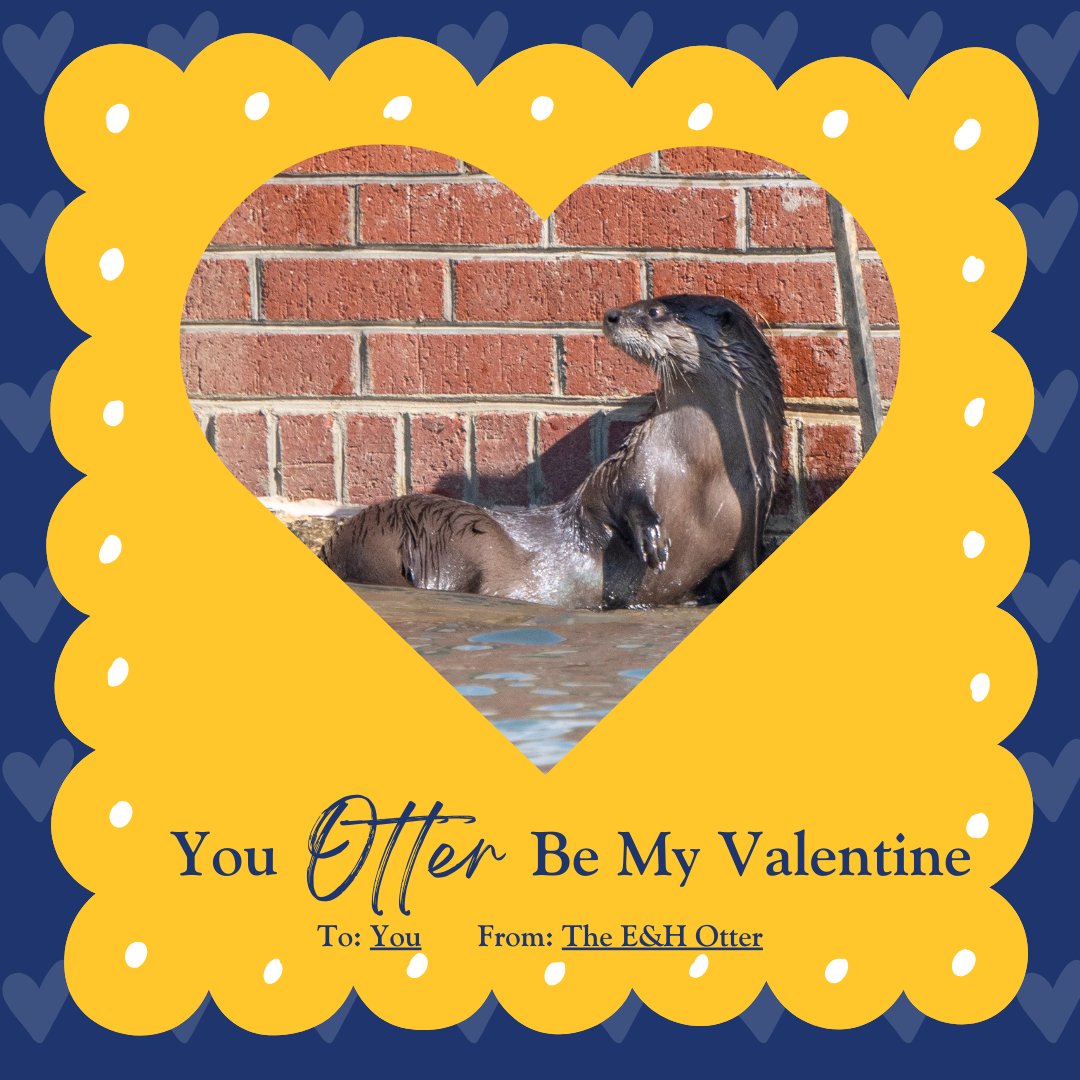emoryhenry1836's tweet photo. Thereโs no Otter quite like our students! Emory & Henry had a cute visitor today at the Duck Pond, and it wanted us to relay these special Valentine's Day messages just for you๐ฆฆ๐๐ #EHlove #emoryandhenry
Did you see the special guest today? https://t.co/n30zs9klTt