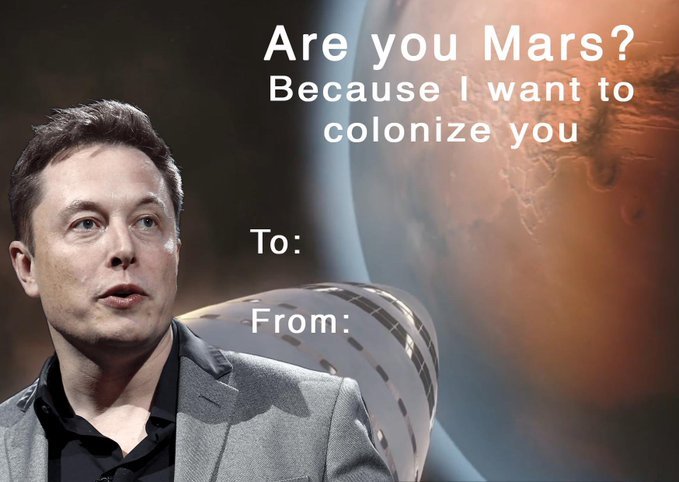 Bryan Zelo tweet media