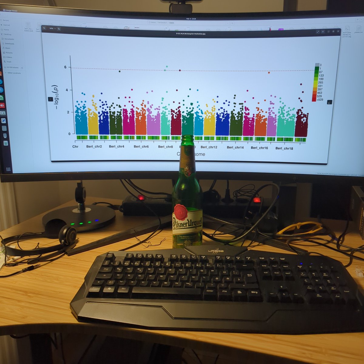 (All) good things start with b
Beer, bioinformatics, berlandieri