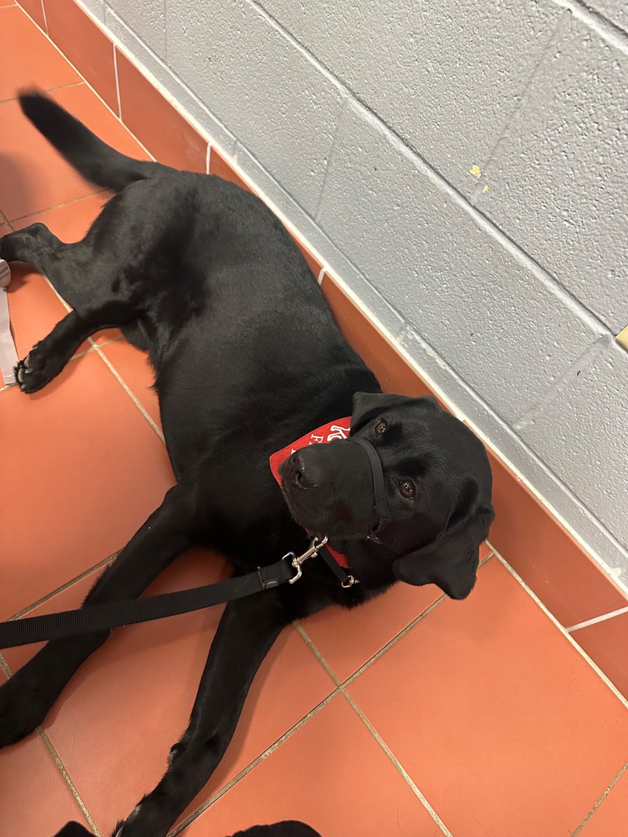 Stephanie Allen tweet media