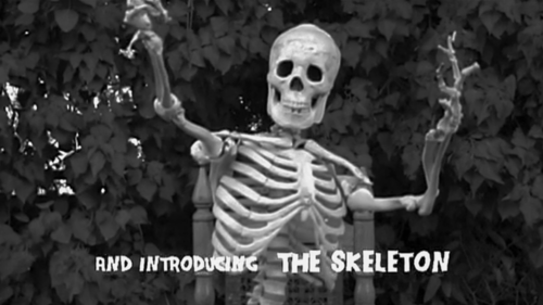 doghouse reilly tweet media