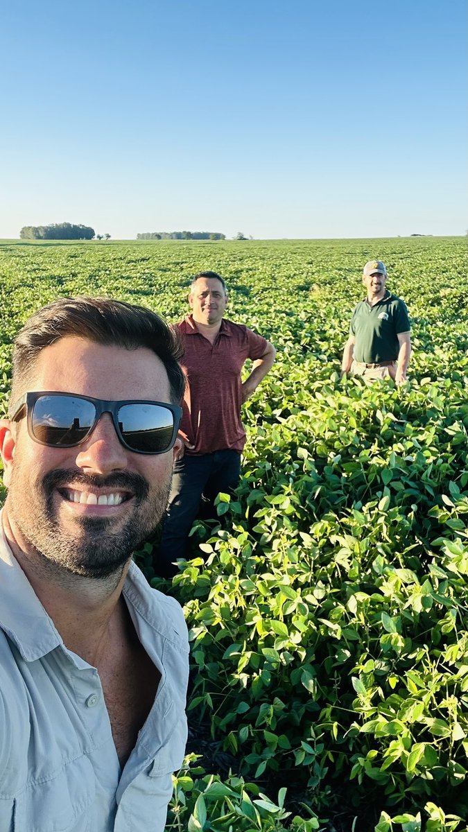 rmendez82's tweet photo. Terminando la tarde de recorrida con Andrés y Juan Pedro del equipo de Santa Dominga, Olavarria. Soja de primera DM 46i20, R5, lote con influencia de Napa. https://t.co/fHbhoGNtlZ