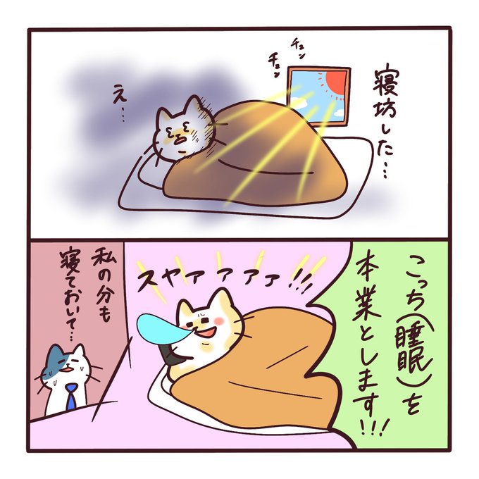 睡眠をお仕事にしたい!🐱💤
好きなことをお仕事に!あなたの代わりにぐっすり寝ます!🐱💤

#イラスト 