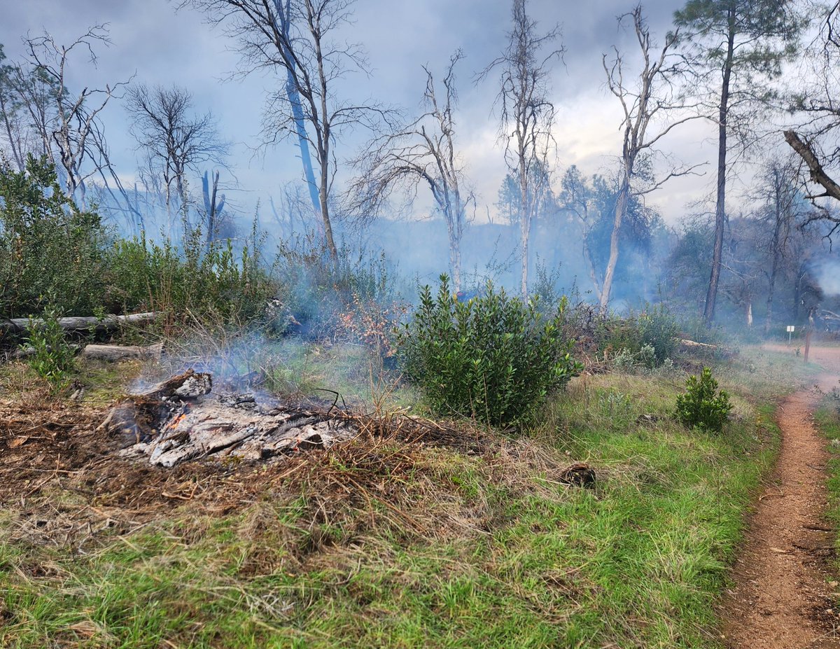 🔥Fire crews from our Redding Field Office continue to conduct a #PrescribedFire within the Swasey Recreation Area just west of the city of Redding in Shasta County and plan to continue through Feb. 23, as long as conditions are favorable.