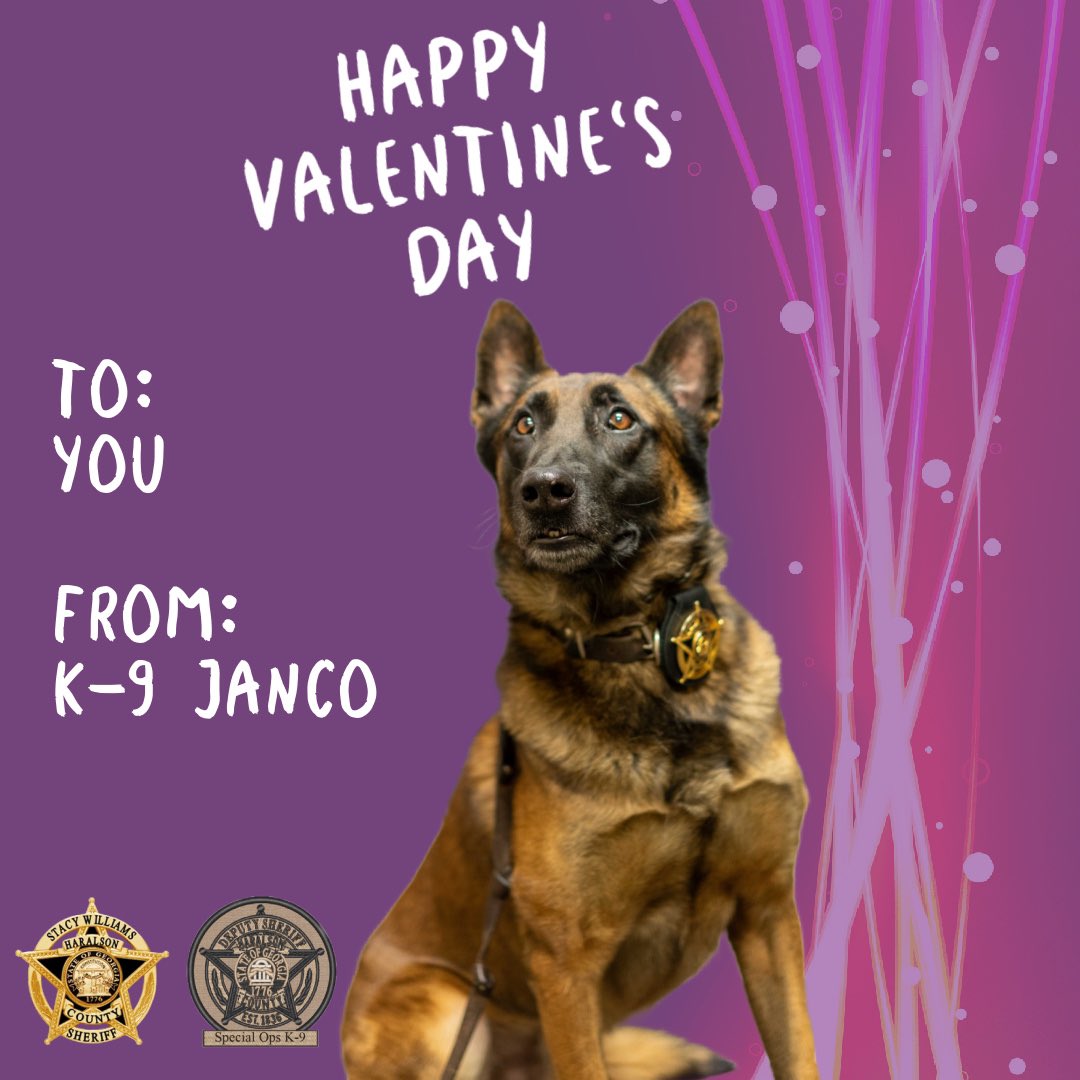 A special Valentine from K-9 Janco, Happy Valentine’s Day! 

#K9Janco
#HappyValentinesDay   #SpecOpsK9 #Malinois #ValentinesDay  #CrimeSuppressionUnit #CSUK9 #ValentinesDay2024 #K9Unit #WorkingDog #FullPurposeK9 #Janco #Valentine #HCSO
