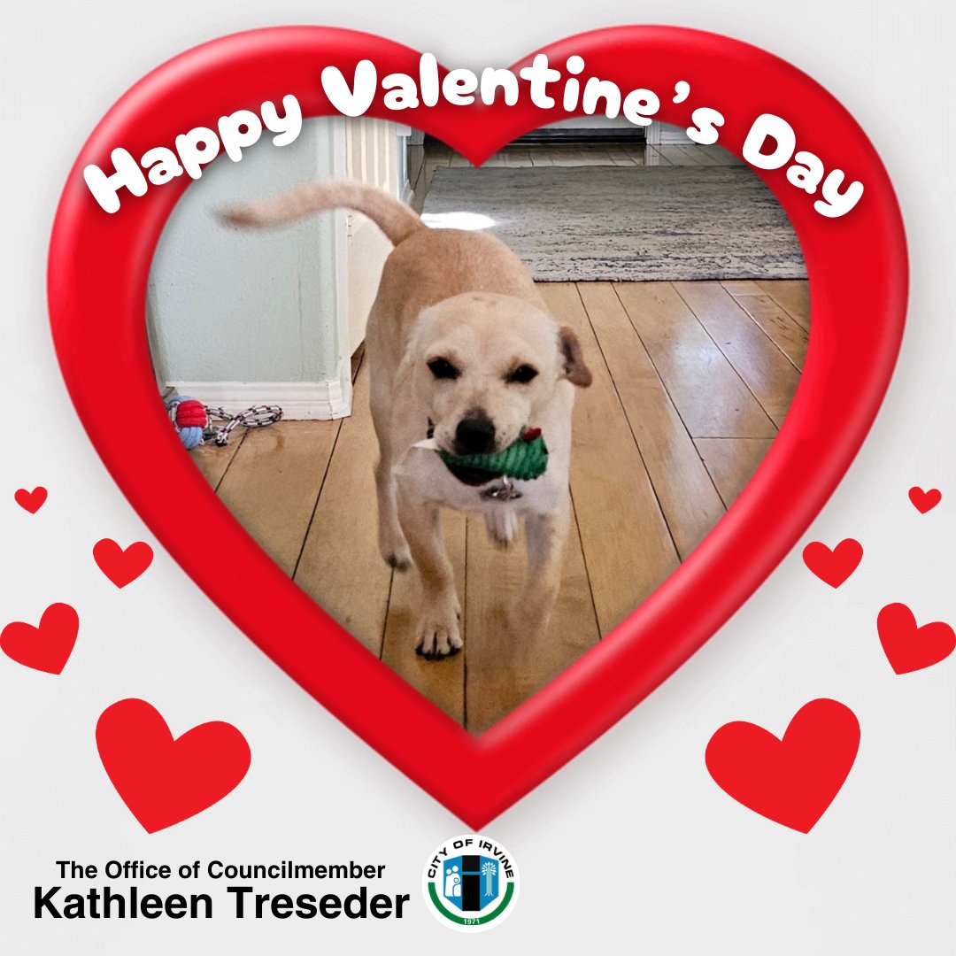 DrTreseder's tweet photo. Happy Valentine's Day! This year, our family welcomed Yogi into our lives—a Dachshund and Labrador mix who loves walks and his green mouse chew toy. May your Valentine's Day be filled with love and memories shared with your loved ones!❤️ https://t.co/yeW0REXBOB