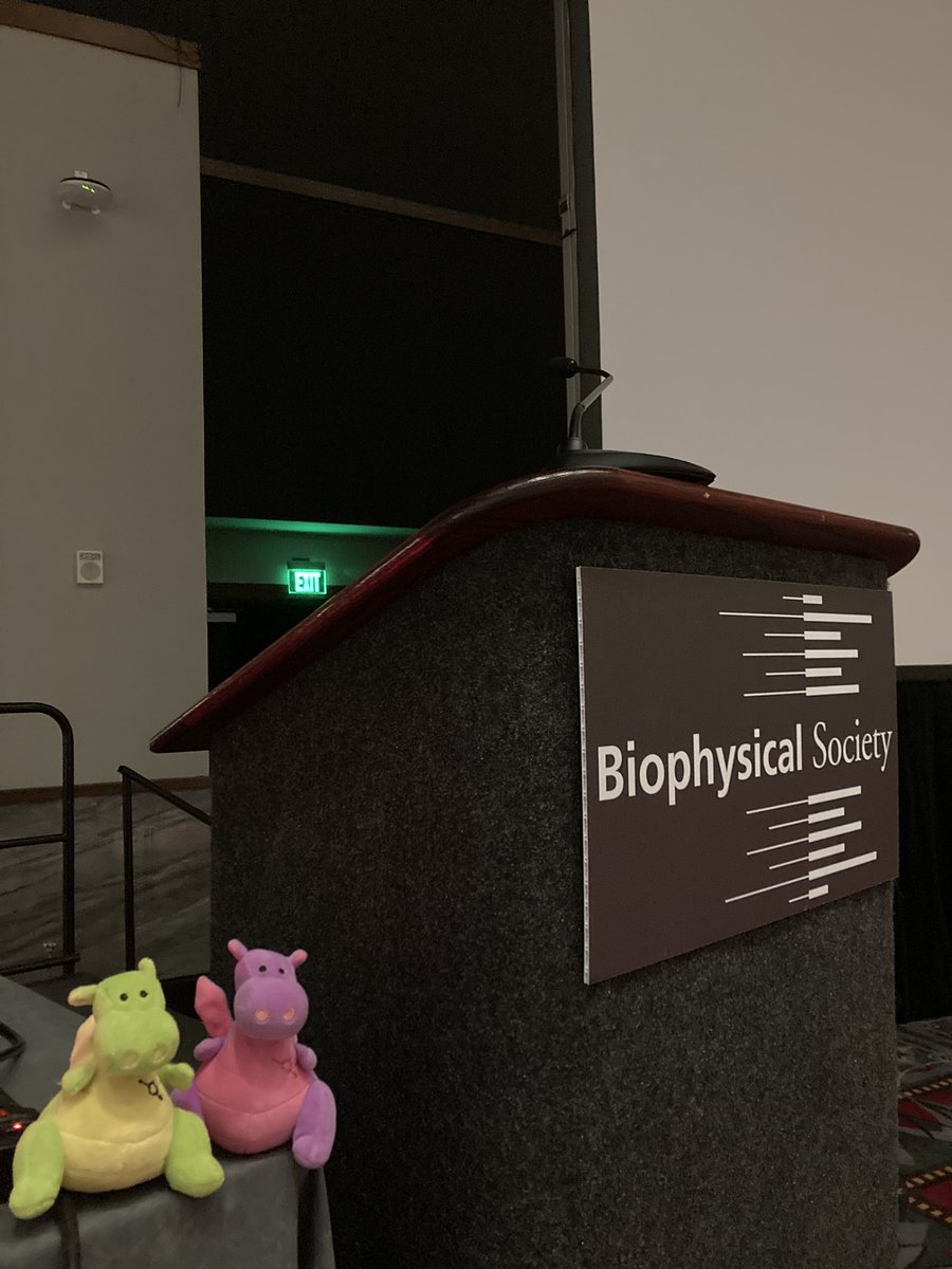 jcslab's tweet image. Thanks #BPS2024! I loved being back. Grateful to speak today among great #lipidtime talks from Mibel Aguilar, Milka Doktorova @KM_Hines @VasileiosPetrou, who also humored me taking onstage pics of the “ambassadors” the kids sent with me on this trip. Until next year!