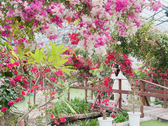 Twitterのコスプレ画像12