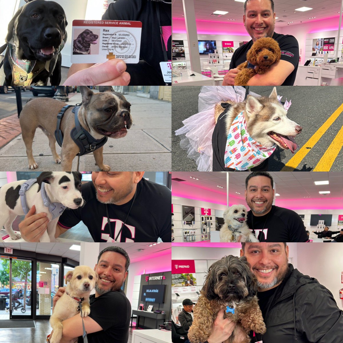 JovCryptoPlug's tweet photo. My valentines π₯°π₯° #tmobile #magentadogs #Hudsonheat #Wny8355 #Tmobilepets https://t.co/ZoTstRIo2P