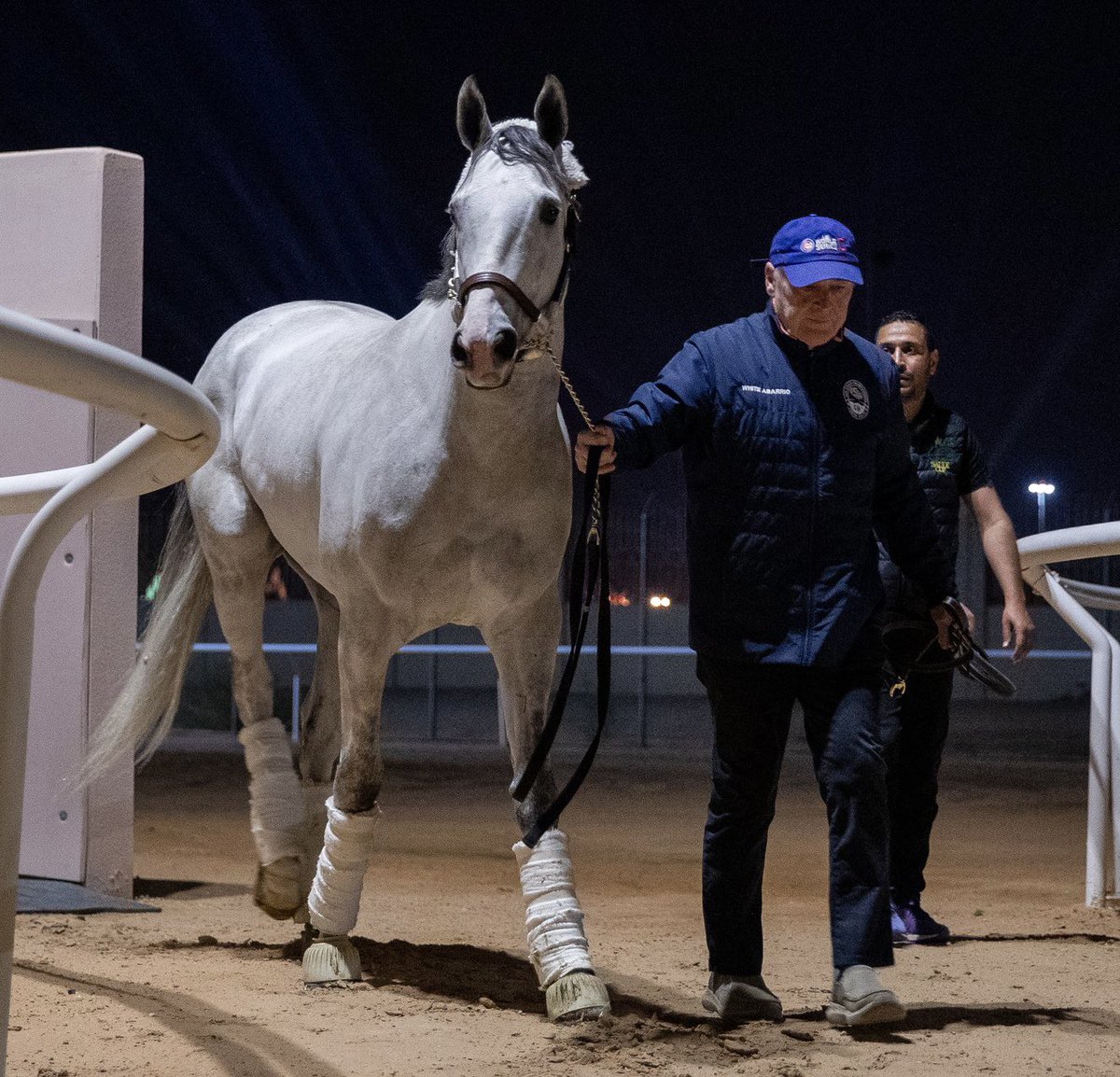 WHITE ABARRIO checking out the surroundings as he and trainer Rick Dutrow, Jr. @RickDutrow59 walk to the barn after his long trip for the @thesaudicup.