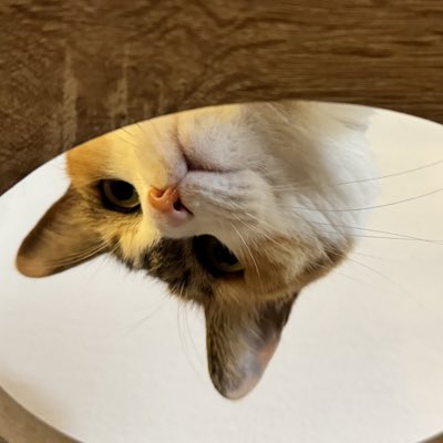#新しいプロフィール画像
