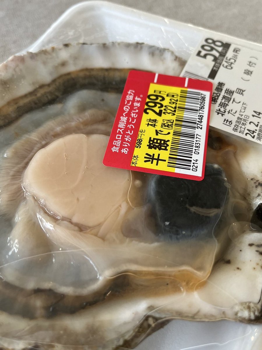 ojousniper's tweet photo. あのホタテですが､学校から帰ってきたら切開して取り出そうと思いますわ｡ https://t.co/n9ZFNKmxFI