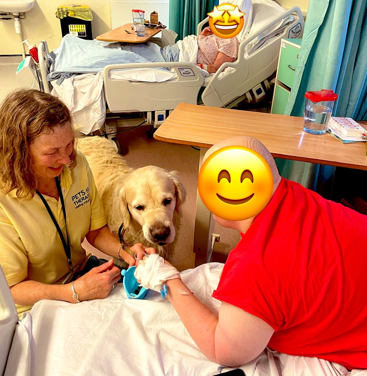 This Valentine’s Day  <a href="/WardA3_SHH/">Ward A3</a> welcomed our wonderful Pet therapy dog George to spread some canine love with patients and staff <a href="/StockportNHS/">Stockport NHS FT</a> <a href="/jellybeanscot/">gail daly-brown 💙</a> <a href="/StockportPtExp/">Stockport Patient Experience</a> @SupportSft <a href="/rchamoto/">Rebecca Chamoto</a> @AlicornParry <a href="/NicolaFirth6/">Nicola Firth</a> <a href="/helshow1/">HH</a>