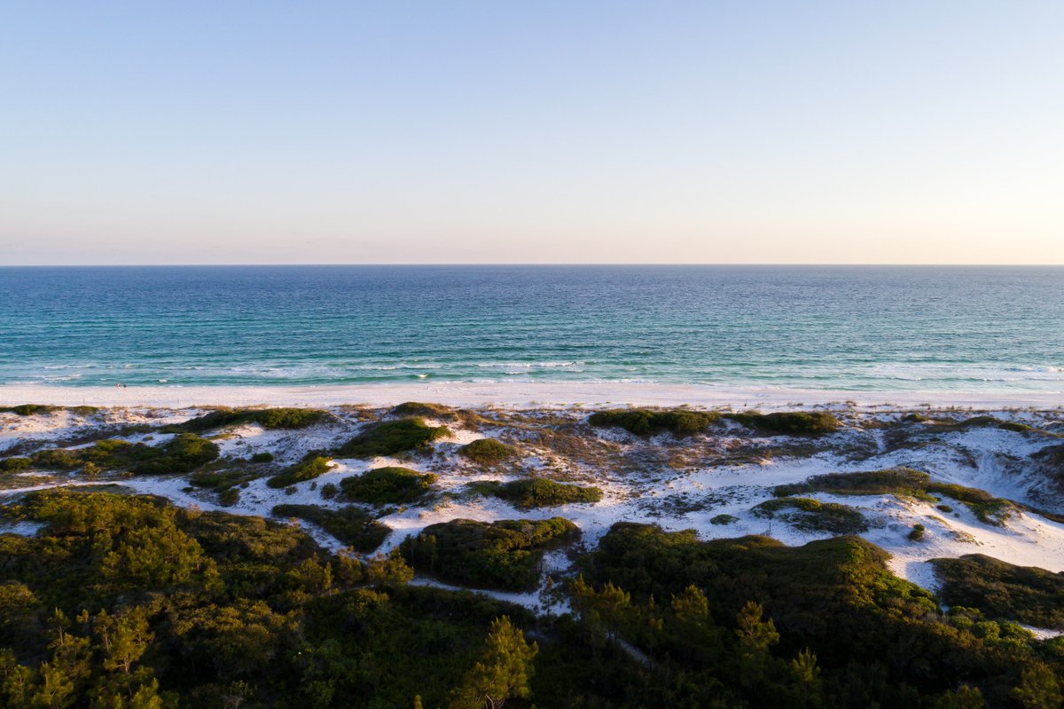 SouthWalton's tweet photo. Grayton Beach serving up the good vibes 💯 https://t.co/FrmdSxuT57