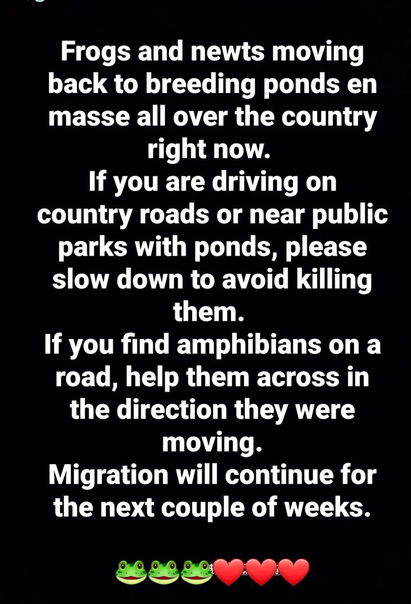 🚨🐸🚨Frogs and newts moving en masse to their breeding ponds across much of the country right now. 🚨🐸🚨 Couple of tips below to help them out.