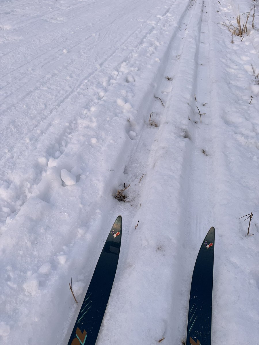 1. North - Carling to Riverdown 
2. Carling to MI and to Moodie
3. MI to Corkstown - thin base at the hill and washouts at KN
4. South 417 to Robertson - icy but good base
5. Underpass to March - significant areas of base loss on pavement 
6. Loops, uneven exposed grass roots”