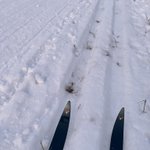 Photo by Ottawa West Winter Trail (@OWWinterTrail)