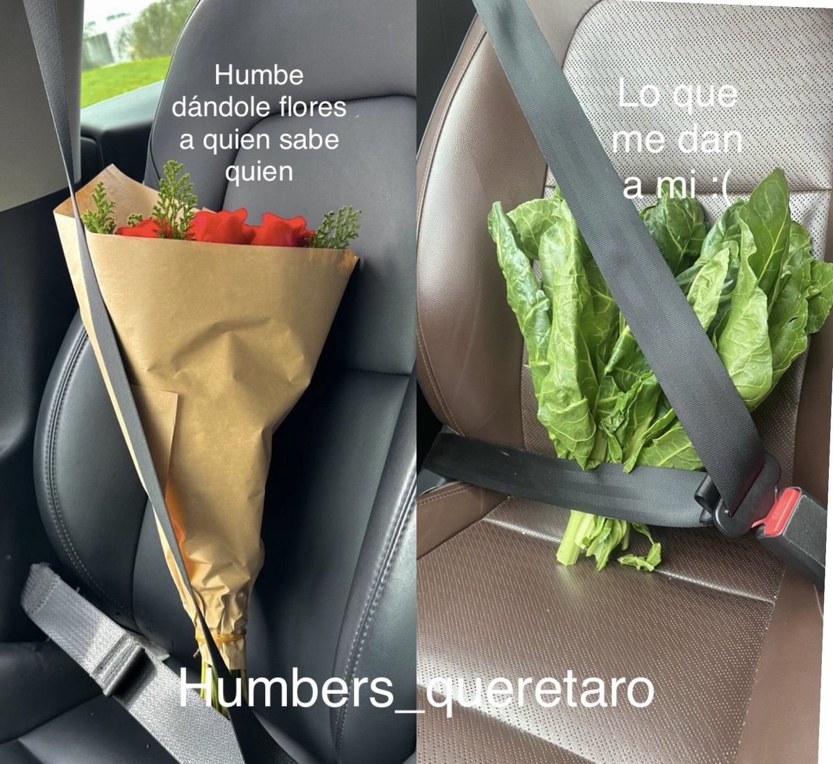 HumbersQuertaro's tweet photo. Ni elote, ni Lechuga nos toco 😩 jajajajaj https://t.co/fPzO05eV8v