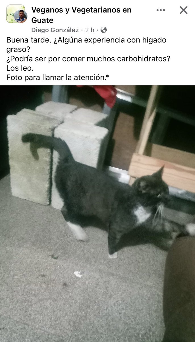 Si me llamó la atención.