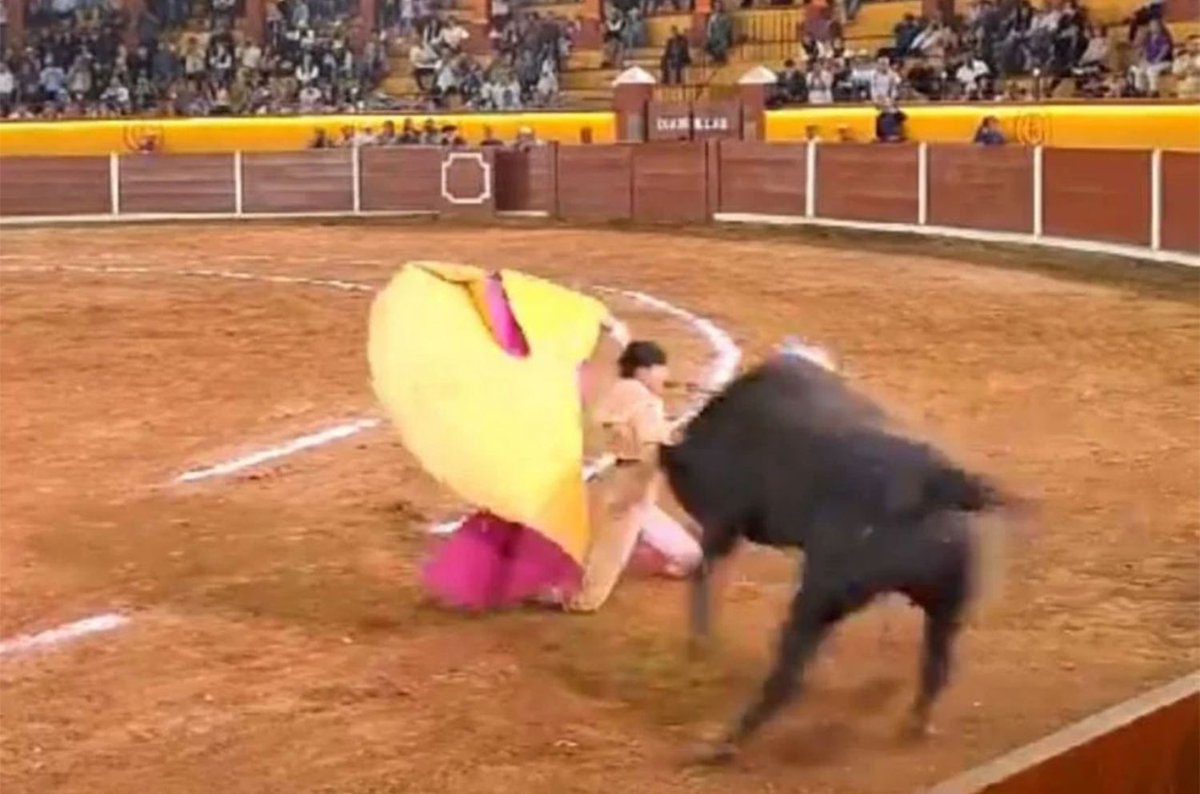 info7mty's tweet photo. Torero sufre dramática corneada que le perforó el rostro📹▶️https://t.co/Rl6ppGwiaV
#INFO7 #Tlaxcala #Torero #Corneada https://t.co/xCWMXImWtP