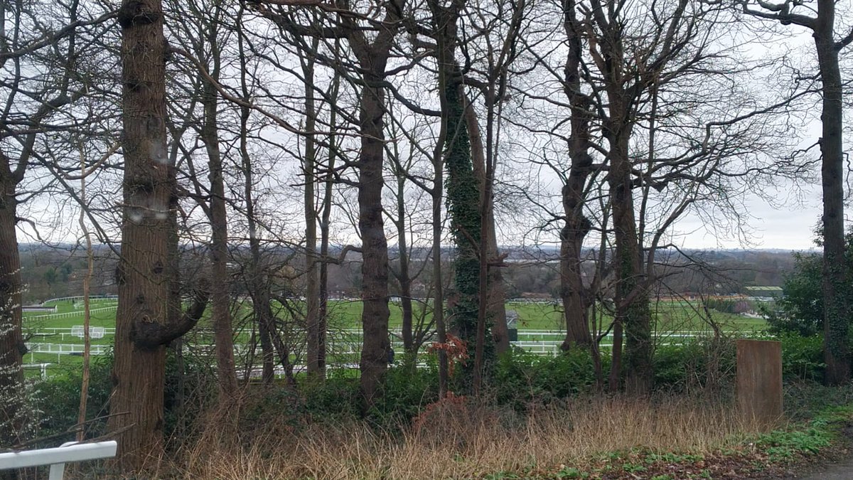 tyrrells_racing's tweet photo. Can you name this racecourse?
Let us know what you think it is! π
#guesstheracecourse #tyrrellsracing https://t.co/3VAamgxSsb
