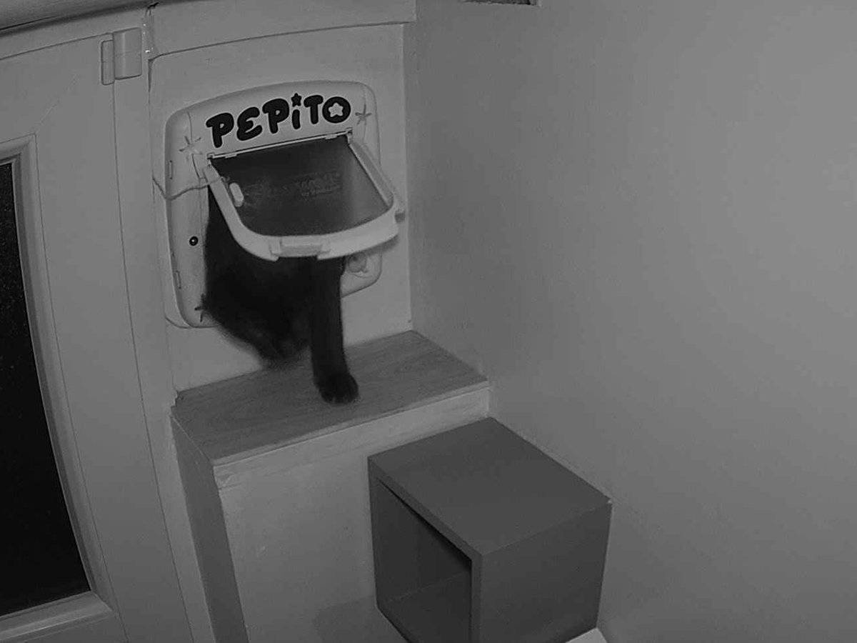Pépito tweet media