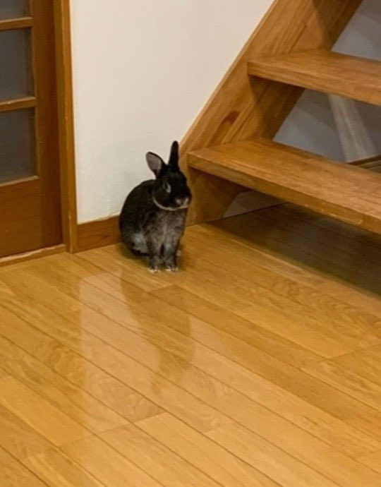 FishSundays's tweet image. Wait im teleshopping