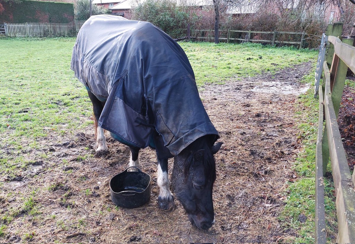 Wokingham Borough Council planning committee refuse outline planning application on old Hurst Show Field School Road.