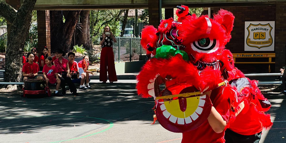 Bright and exciting Lunar New Year celebrations presented by our fabulous community language teachers and students! What a way to start the year! #lovewhereyoulearn <a href="/janholt07/">Jan Holt</a> <a href="/NSWEducation/">NSW Dept of Education</a>