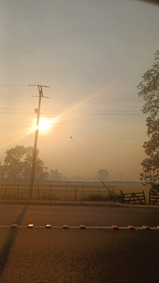 miguel_cab's tweet photo. Así se ve el #IncendioForestal de #osorno desde la ruta 215 sector mulpulmo https://t.co/ZKdq11PgNa