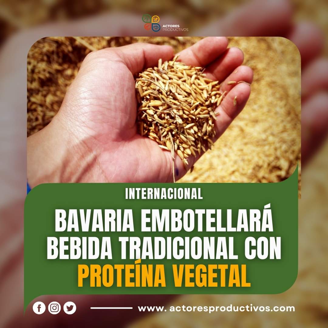 AProductivos's tweet image. La centenaria empresa cervecera de #Colombia @BAVARIA_OFICIAL que produce y distribuye 36 marcas de bebidas alcohólicas y maltas, empezará a vender la #PonyMalta y la proteína vegetal proveniente del proceso de malteado en la cebada.
📌 Más Info
👉 tinyurl.com/244vaybj